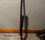 IMG_0863