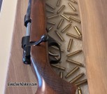 22 Hornet 
